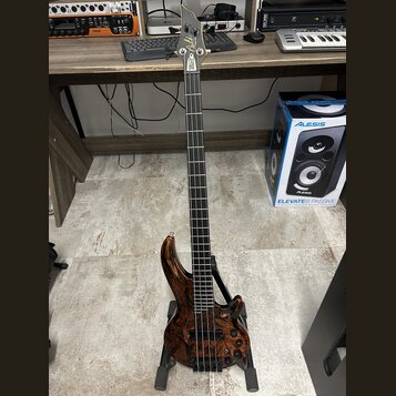 Elektrická basová kytara s tmavým dřevěným povrchem s výraznou kresbou zrna. Na hlavě hmatníku je viditelné logo "Schecter". Nástroj je umístěn ve st…