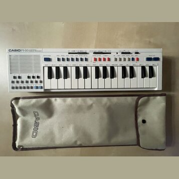 Bílý elektronický klavír s nápisem CASIO PT-30 ELECTRONIC MUSICAL INSTRUMENT. Nástroj má bílé klávesy, modrá a šedá tlačítka a v horní části ovládací…