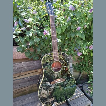 Černá akustická kytara s lesklým povrchem a hnědým dřevěným hmatníkem. Na hlavě nástroje je bílý nápis Gibson. Kytara je umístěna na stojanu před zel…