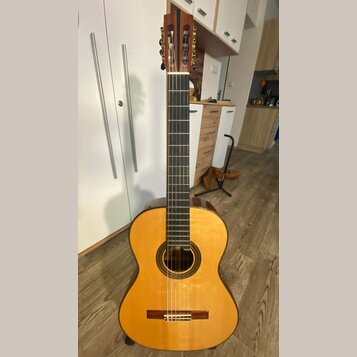 Kytara s vyřezem (cutaway), přírodní dřevěná barva těla a tmavý hmatník. Na hlavě nástroje jsou vidět zlaté ladičky, žádné značky ani názvy modelů ne…