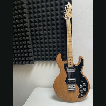 Elektrická kytara s přírodním dřevěným povrchem těla a hmatníkem. Má černý pickguard, dva humbuckery a stříbrný most s šestnácti strunami. Na hlavě j…