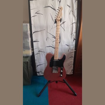 Elektrická kytara s růžovým tělem a černým pickguardem umístěná na stojanu. Na hlavě hředu je vidět nápis Fender TELECASTER. Hmatovnice a krk jsou vy…