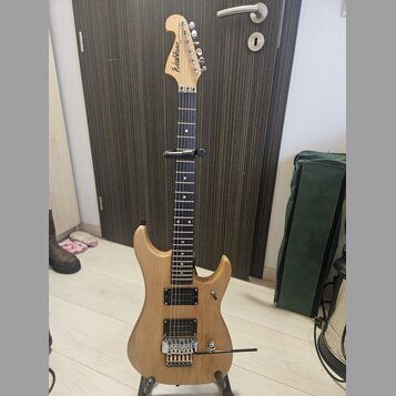 Elektrická kytara s přírodním dřevěným povrchem těla a hmatníkem z tmavého dřeva. Na hlavě je viditelné logo Washburn. Nástroj má konfiguraci snímačů…