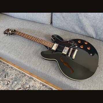 Černá polodublová elektrická kytara s hnědým hmatníkem a dvěma humbuckery. Na hlavě je bílé logo Epiphone, na těle se nachází černý plecháč s logem v…