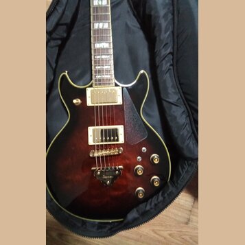 Tmavě červená elektrická kytara s tvarem singlecut v černém pouzdře. Nástroj má dva humbuckery, čtyři ovládací knoflíky a tmavý plechtrguard. Na most…