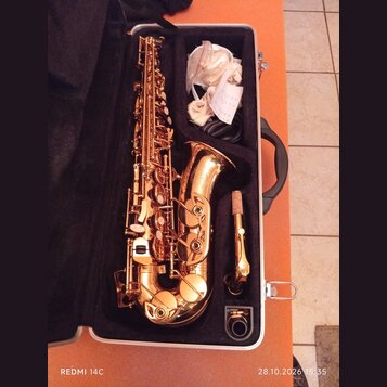 V otevřeném černém kufru leží saxofon s lesklým, růžozlatým povrchem. Vedle nástroje je umístěn mouthpiece s troškou rýžového rýdu a bílá látka. Na n…
