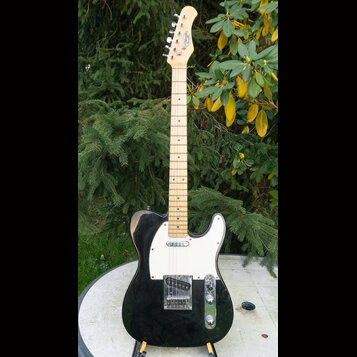 Elektrická kytara s černým trupem, bílým pickguardem a světlou hnedou hmatníkem. Na hlavě je viditelné logo "Fender". Kytara má jeden krkový snímač a…