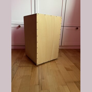 Světle hnědý, dřevěný reproduktorový box s hranatým tvarem. Boční stěna je spojena šrouby viditelnými v řadě podél hran. Povrch dřeva je hladký bez v…