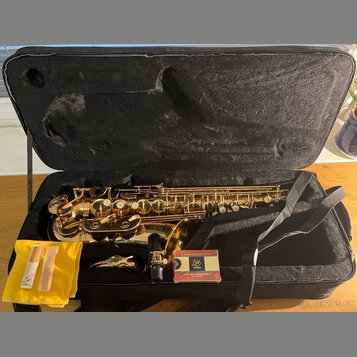 Zlatý saxofon v černém kufru. Vedle nástroje jsou položeny žlutý látkový sáček s dvěma rýdy a krabička rýd s logem „G“ a nápisem „GENUINE“. Na krabič…