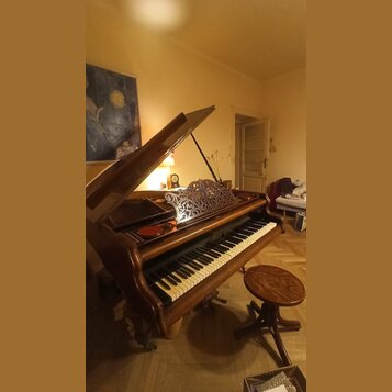 Hnědé dřevěné piano s otevřeným víkem a ozdobným vyřezávaným mřížkovým prvkem nad klávesnicí. Na černé části těla je zlatý nápis "KNUT SONICK". K nás…