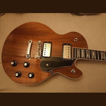 Hnědá elektrická kytara s tvarem single-cutaway a dřevěným povrchem. Nástroj má dva humbuckery s bílými kryty, černý plechtrguard a čtyři ovládací kn…