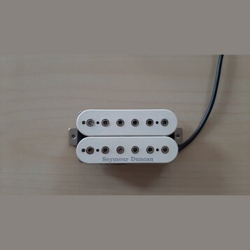 Bílý humbucker s dvěma řadami šesti polových magnetů. Na spodní bobině je černý nápis Seymour Duncan. Nástroj vykazuje mírné znečištění povrchu.
