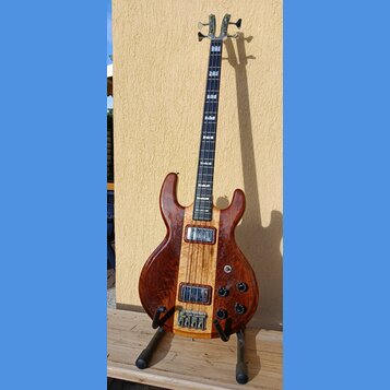 Kytara s hnědým dřevěným tělem a světlejším pruhem uprostřed. Nástroj má dva humbuckery, čtyři ovládací knofíky a hrazdici mechanismus. Na hlavě i hř…
