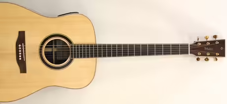 Dreadnought Proch&aacute;zka Blackwood + sn&iacute;mač L.R.Baggs Anthem